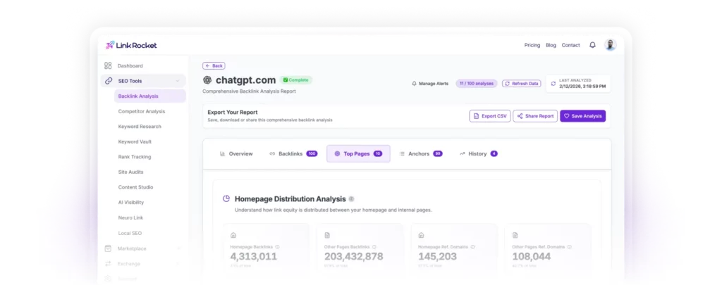 LinkRocket backlink analysis report dashboard showing referring domains, backlinks, anchor text and toxic-link detection